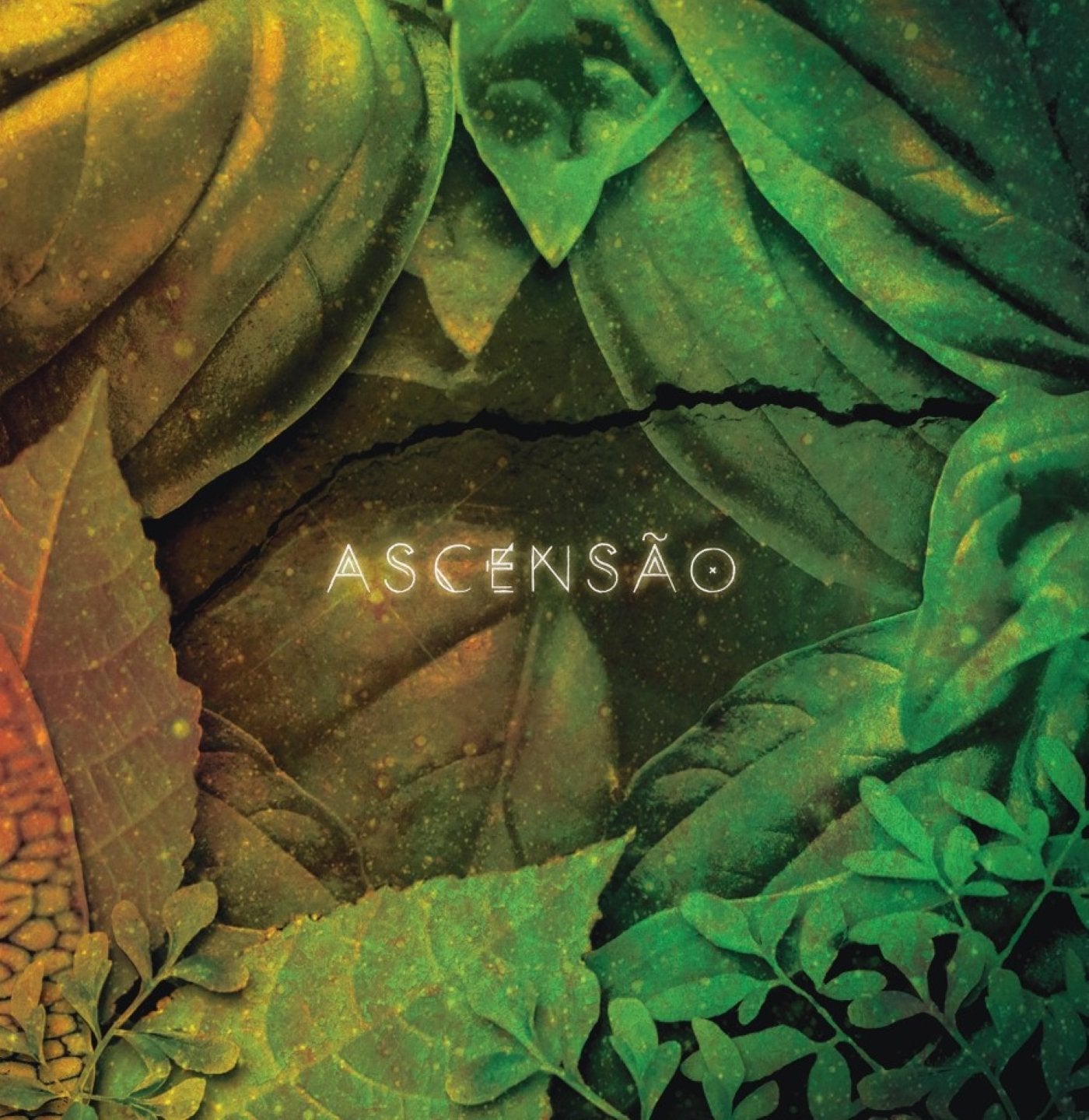 Ascensão | Serena Assumpção | £25.00